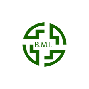 logo-bmi